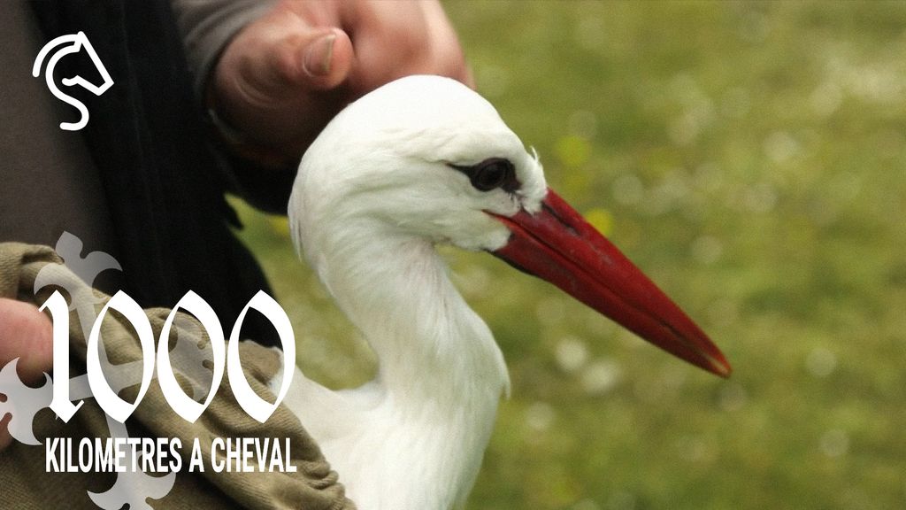 1000 Kilomètres à Cheval - Saison 1 | Épisode 13