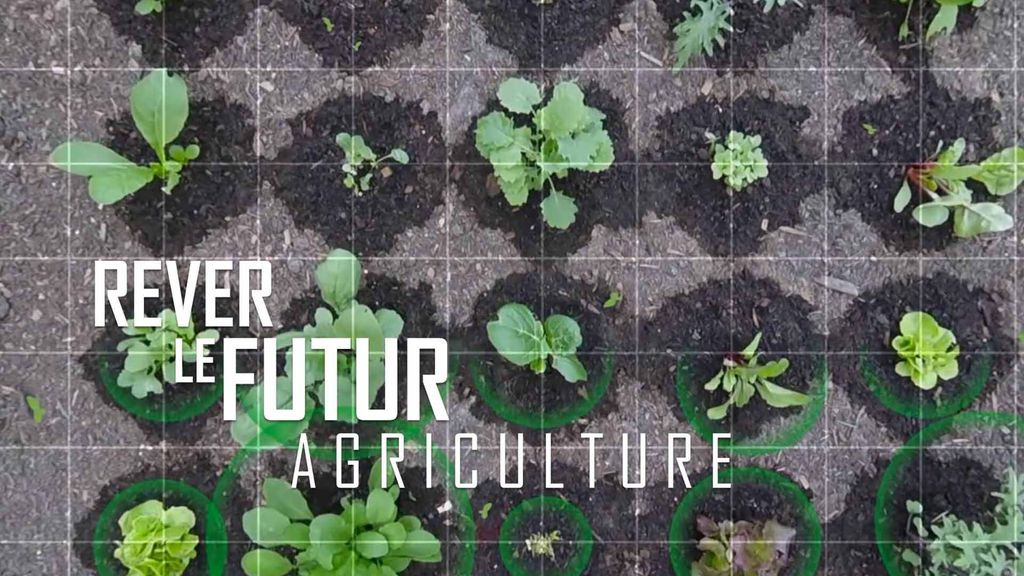 Rêver le futur : Agriculture