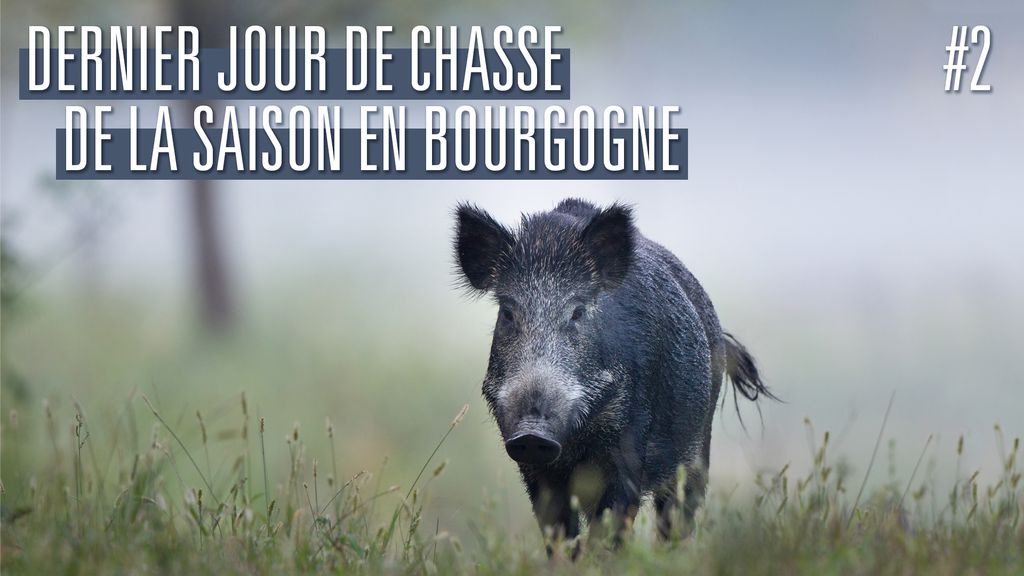 Dernier jour de chasse de la Saison en Bourgogne - Partie 2