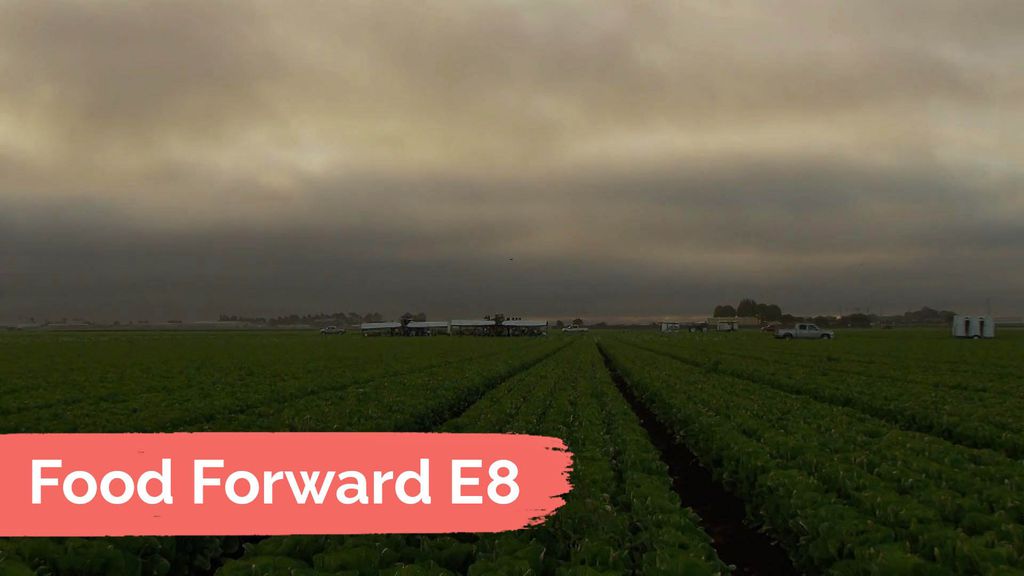 Food Forward E8