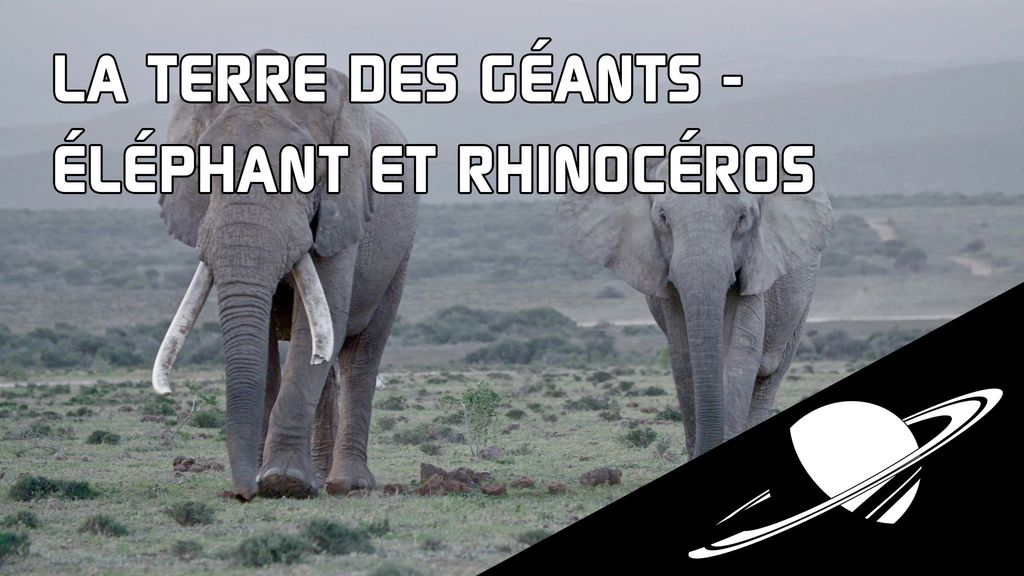 La Terre des géants - Eléphant et Rhinocéros