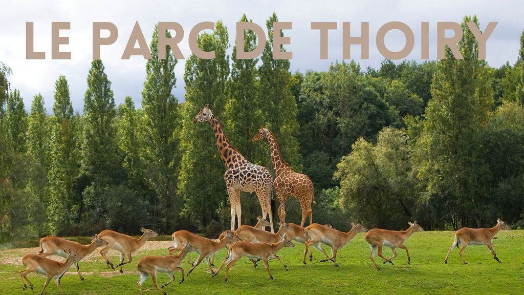 Le Parc de Thoiry
