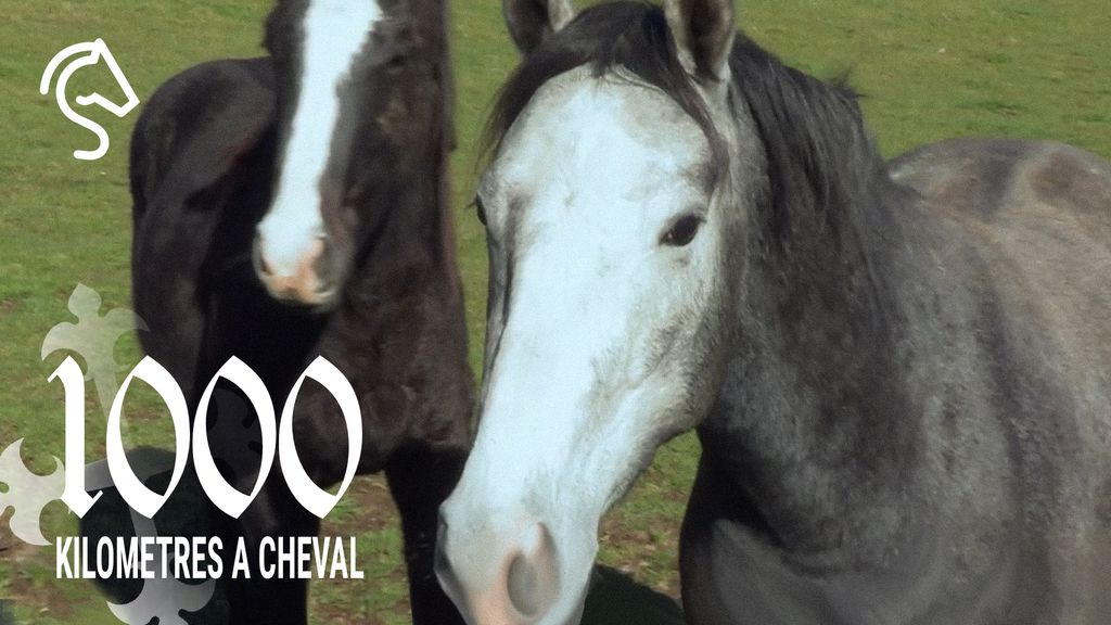 1000 Kilomètres à Cheval - Saison 1 | Épisode 06