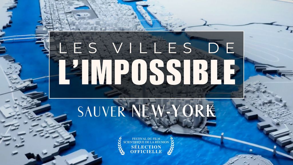 Les villes de l'impossible - Sauver New-York