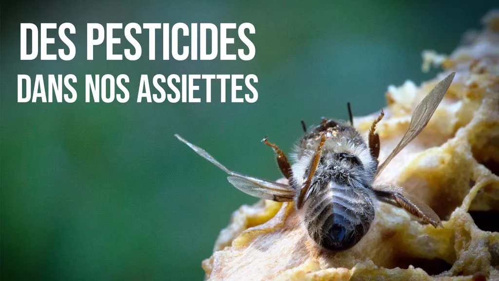 Des pesticides dans nos assiettes