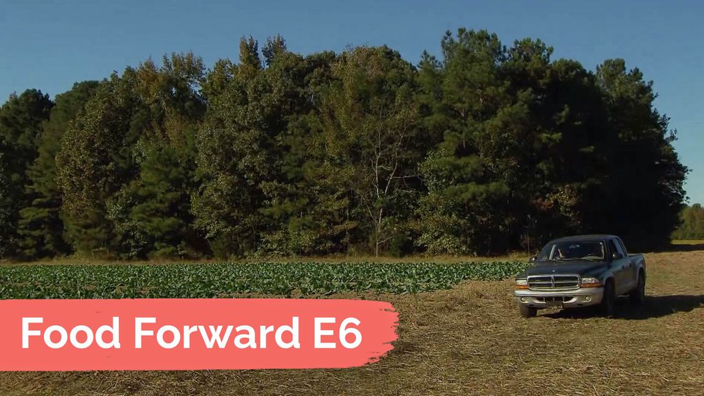 Food Forward E6