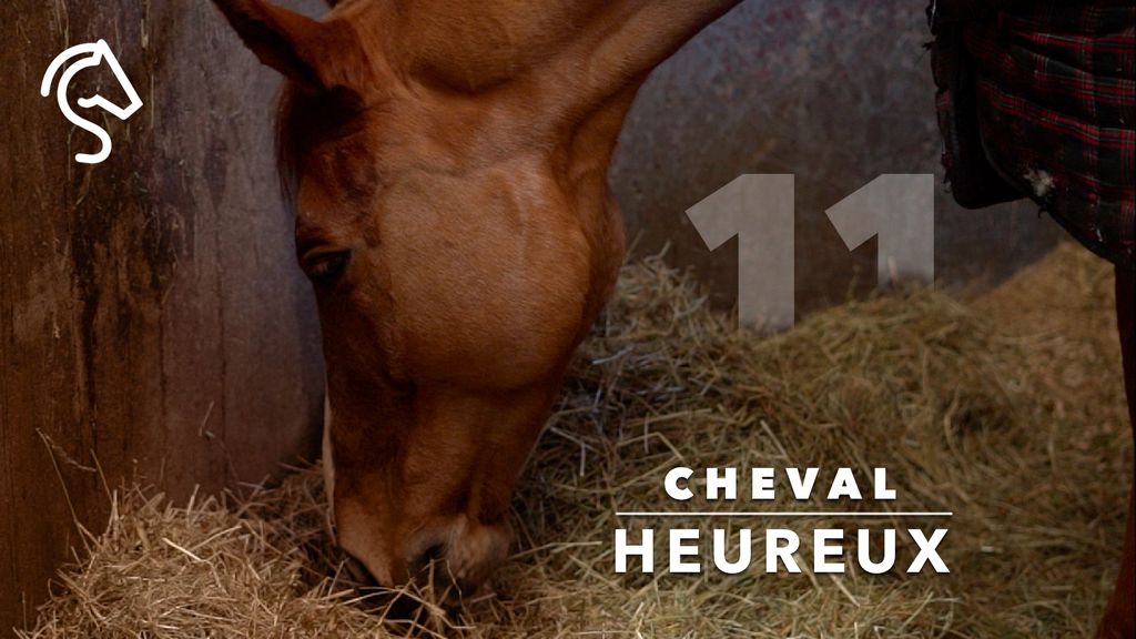 Cheval Heureux S1 E11