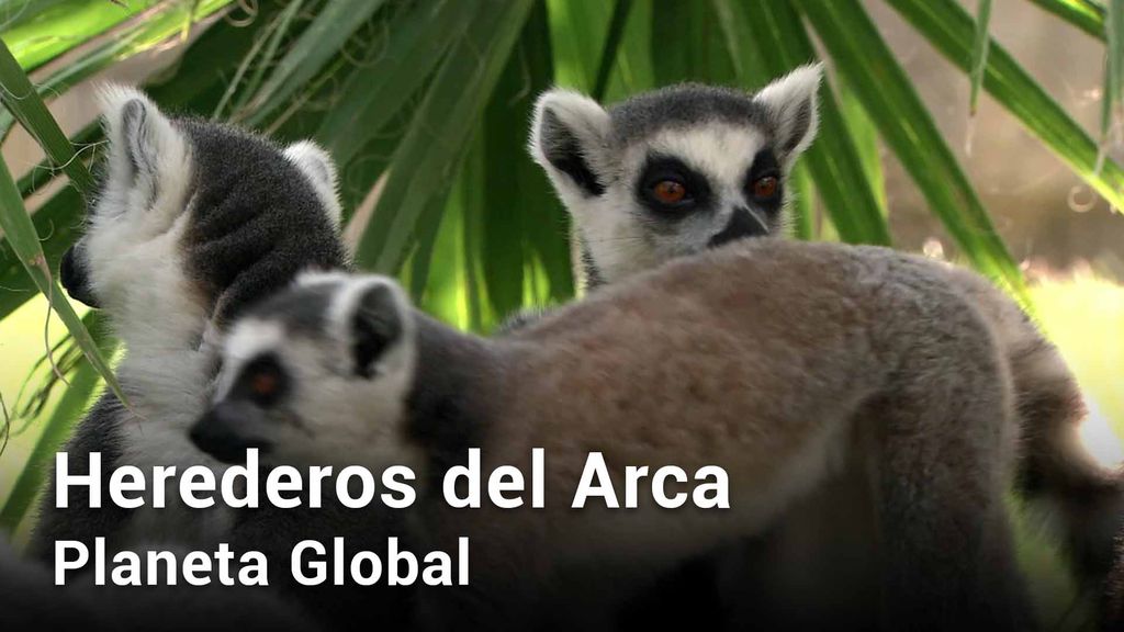 Herederos del Arca Ep.6. Planeta Global