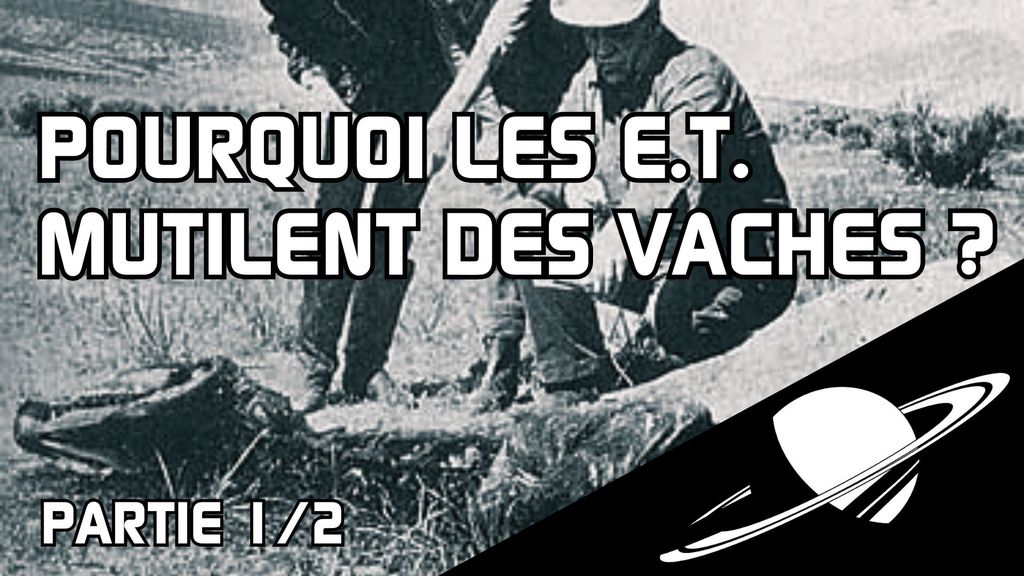 Pourquoi les extra-terrestres mutilent des vaches ? (partie 1)