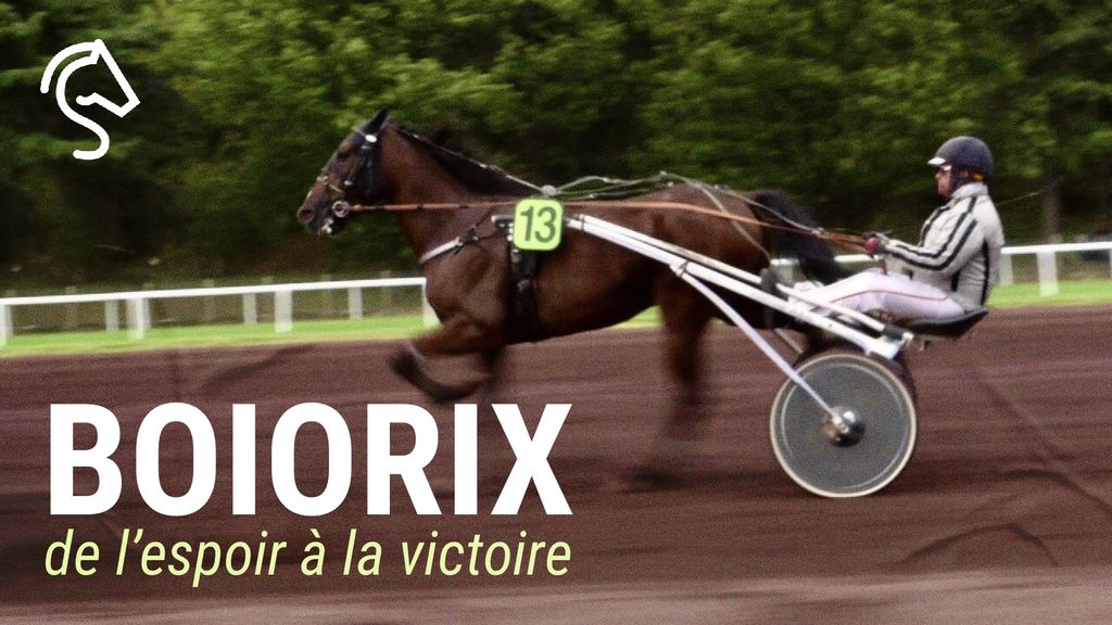 Boiorix, de l’espoir à la victoire