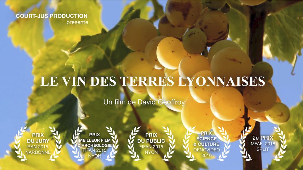Le Vin des Terres Lyonnaises