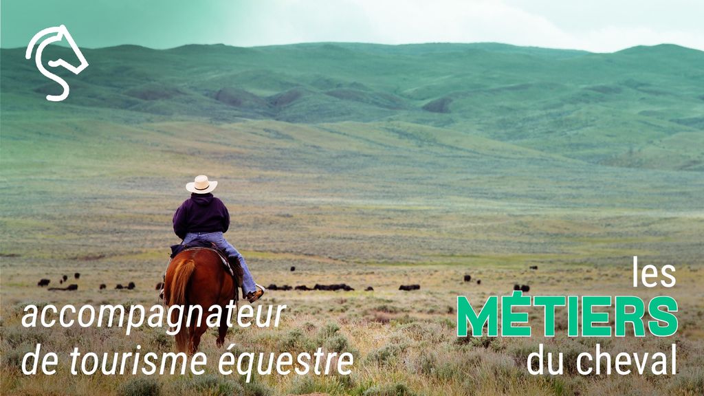 Les Métiers du Cheval - Accompagnateur Tourisme Equestre