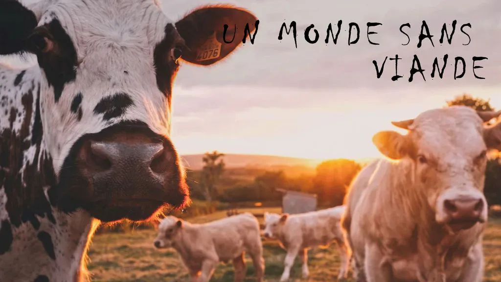 Un monde sans viande