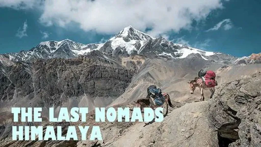 The Last Nomads Himalaya