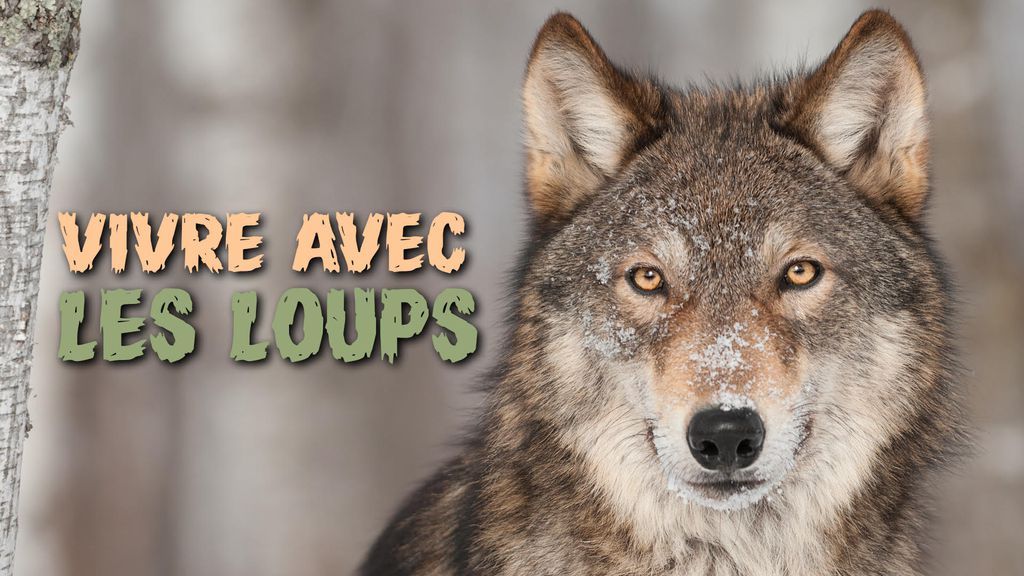 Vivre avec les loups