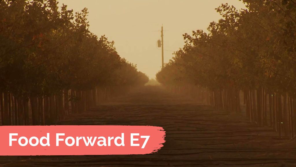 Food Forward E7