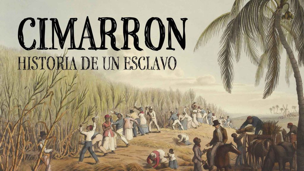 Cimarrón, Historia de un esclavo