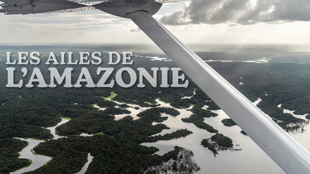 Les Ailes de l'Amazonie