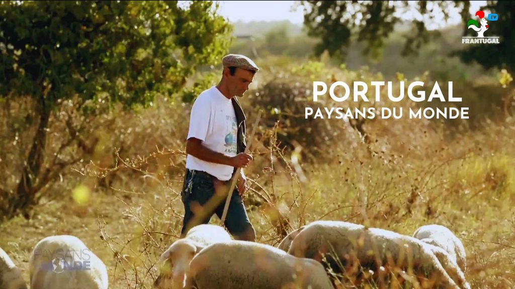 Paysans du monde : Portugal