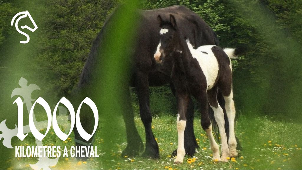 1000 Kilomètres à Cheval - Saison 1 | Épisode 15