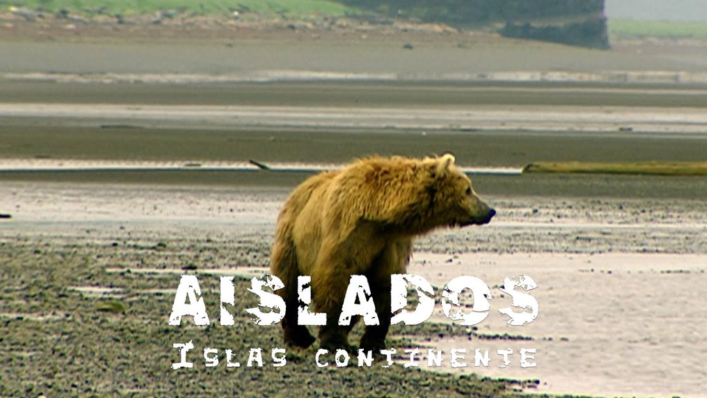 Aislados, una historia de supervivencia - 3. Islas continente