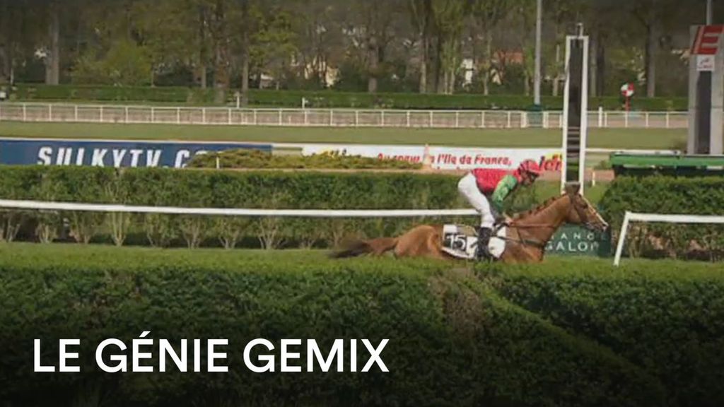 Le génie Gemix