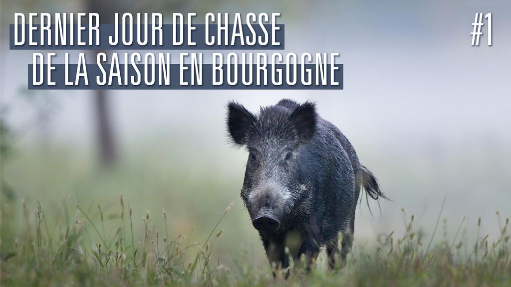 Dernier jour de chasse de la Saison en Bourgogne - P1