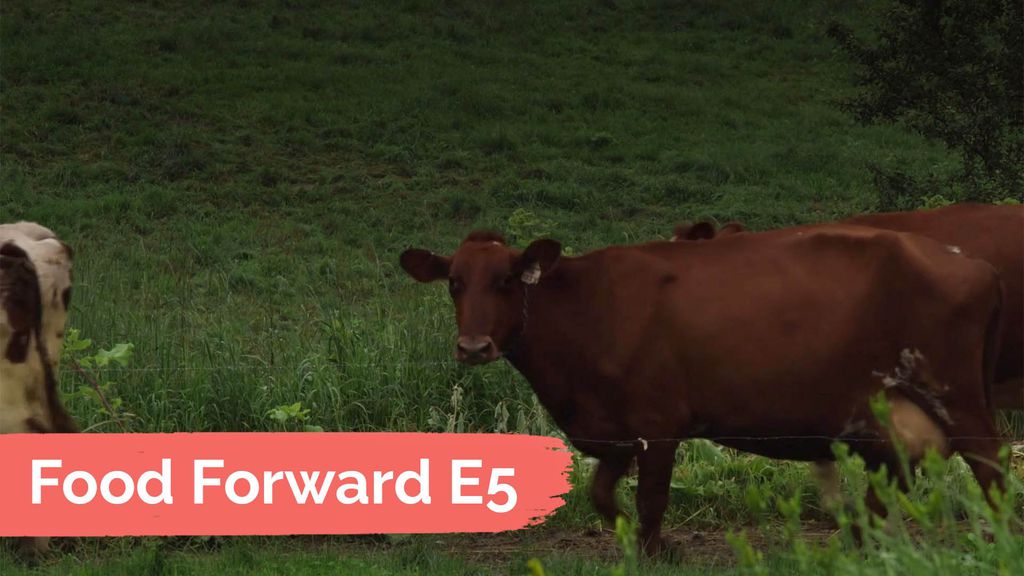 Food Forward E5