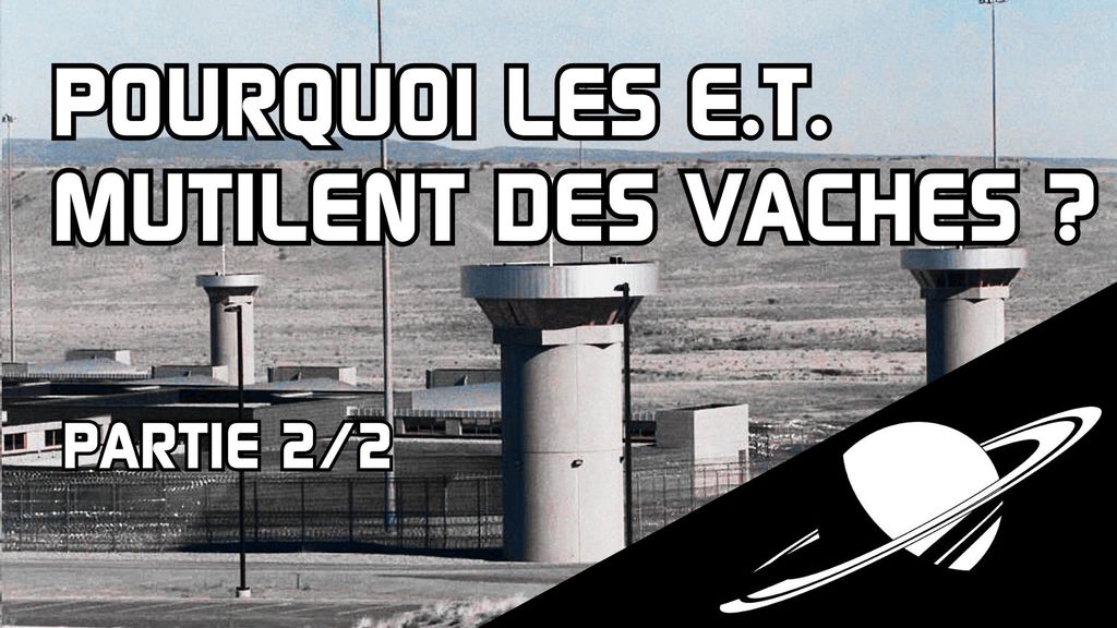 Pourquoi les extra-terrestres mutilent les vaches ? (partie 2)