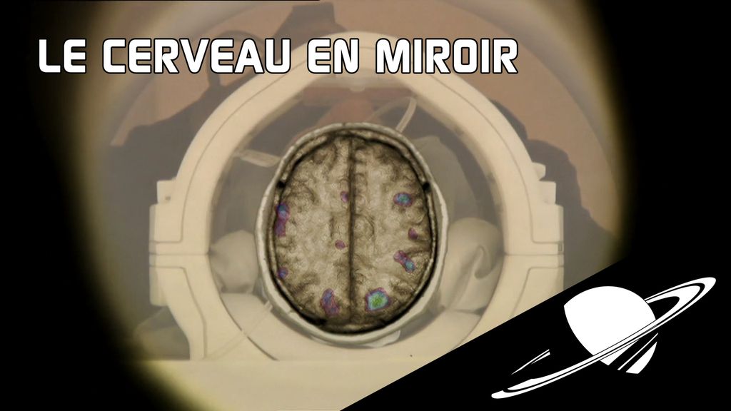 Le cerveau en miroir