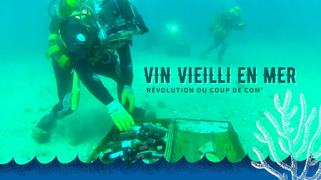 Vin vieilli en mer : révolution viticole ou coup de com' ?