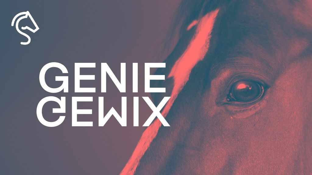 Le génie Gemix