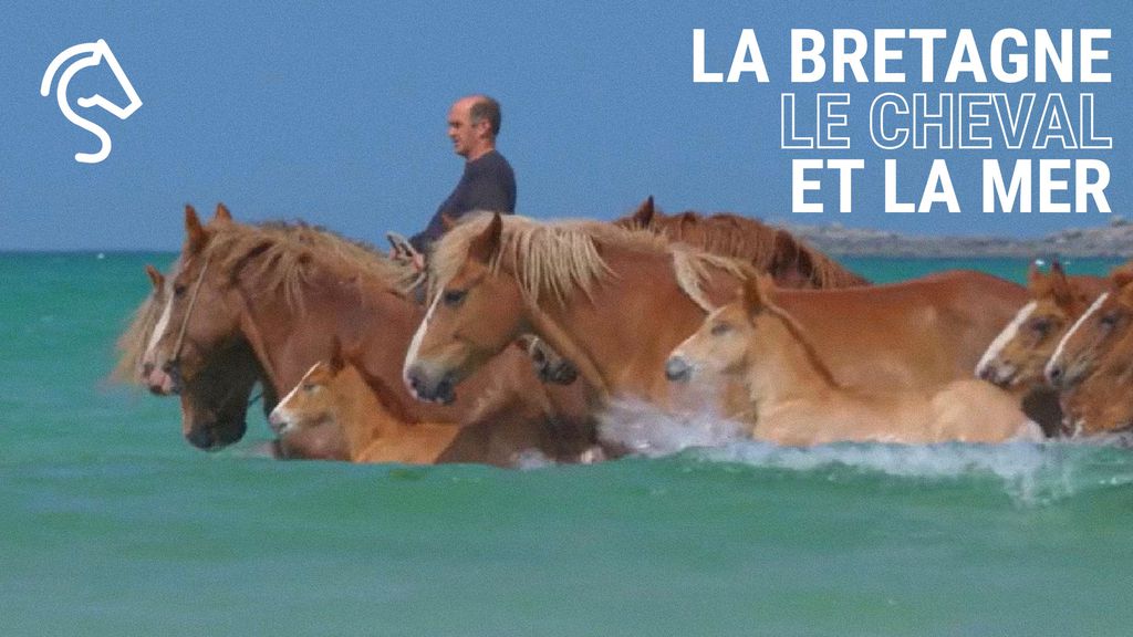 La Bretagne, le cheval et la mer