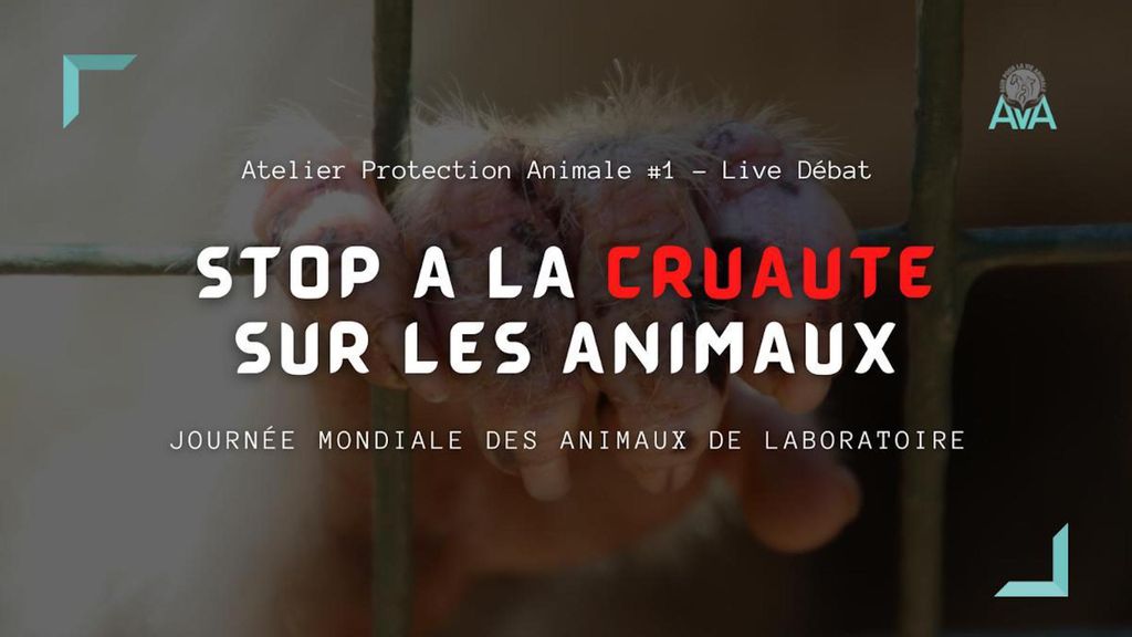Stop à la cruauté sur les animaux !