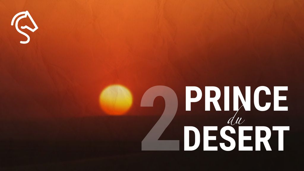 Prince du désert E2 : Le Pur Sang Arabe de course