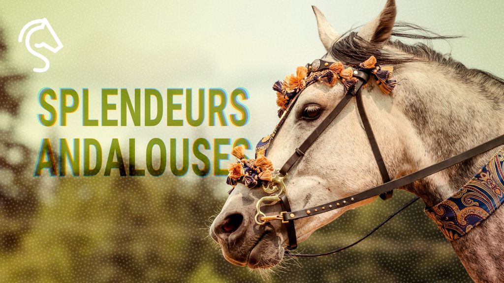 Splendeurs Andalouses
