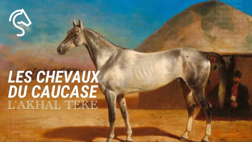 Les Chevaux du Caucase - Les Chevaux Akhal
 Téké du Caucase