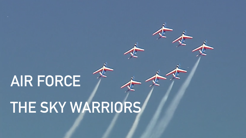 Air Force: The Sky Warriors