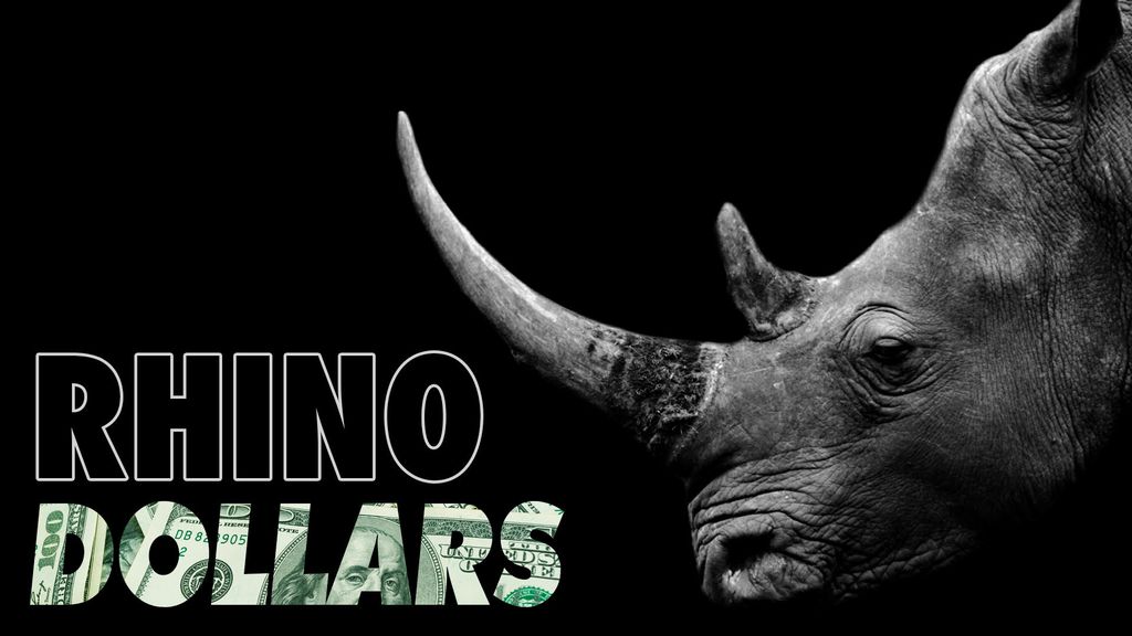Rhino Dollars