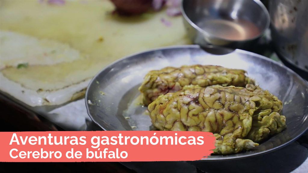 Aventuras gastronómicas: Cerebro de búfalo