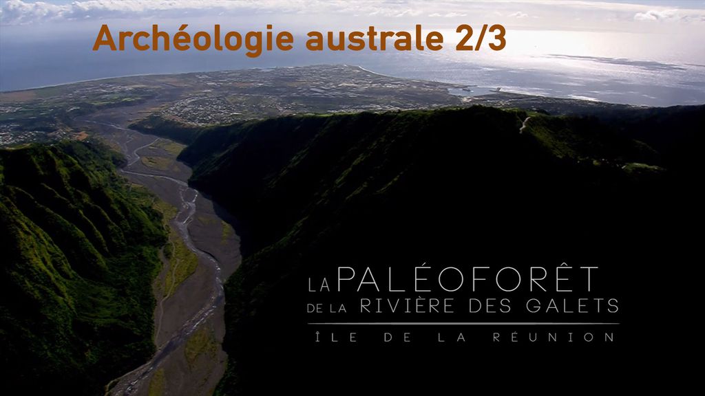 Archéologie Australe - Épisode 02 |  La Paléoforêt de la Rivière des Galets