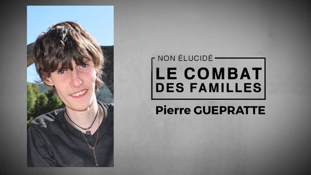Le combat des familles - Pierre Guepratte 