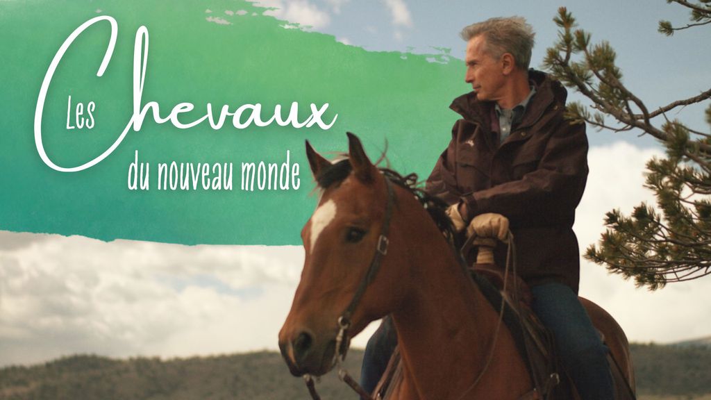 Les chevaux du nouveau monde