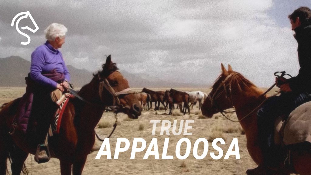 True Appaloosa