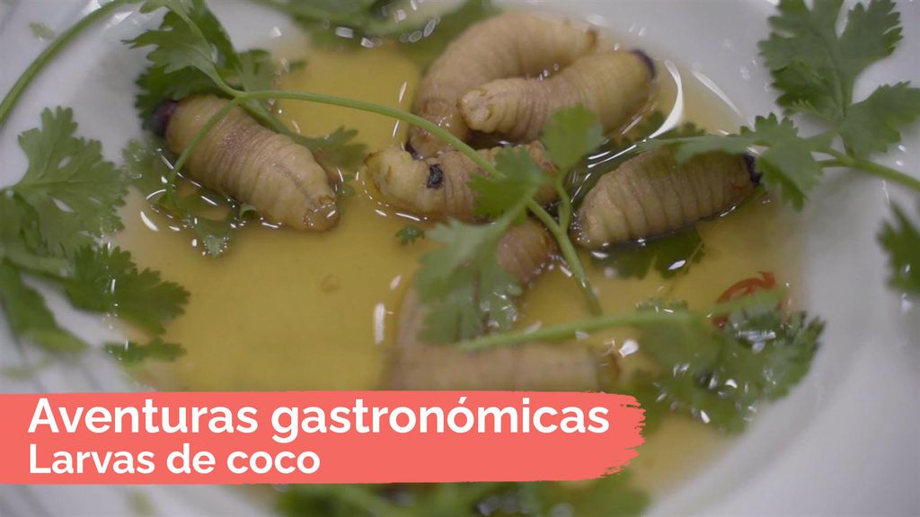 Aventuras gastronómicas: Larvas de coco