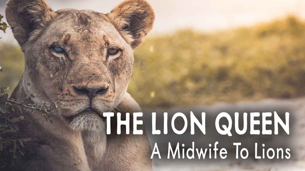 The Lion Queen Episode 1 – A Midwife To Lions