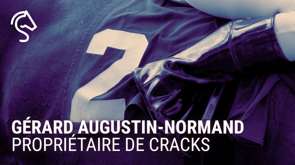 Gérard Augustin-Normand : propriétaire de cracks