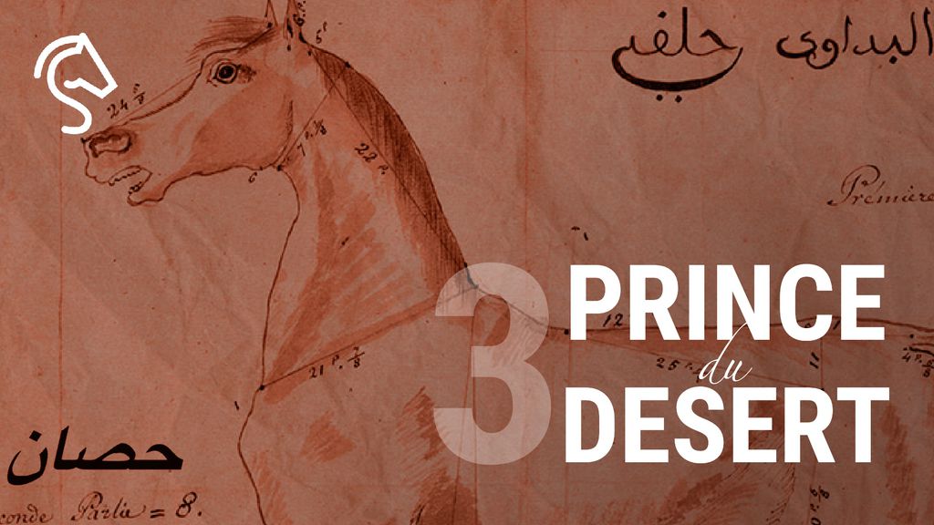 Prince du Désert E3 : Beauté parfaite