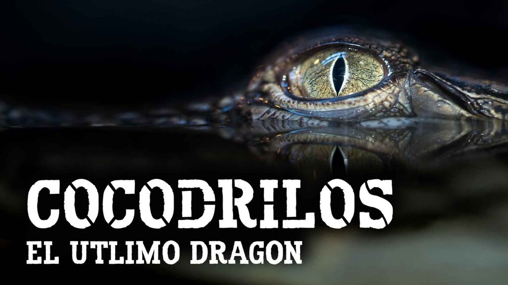 Crocodilos : El Utlimo Dragon