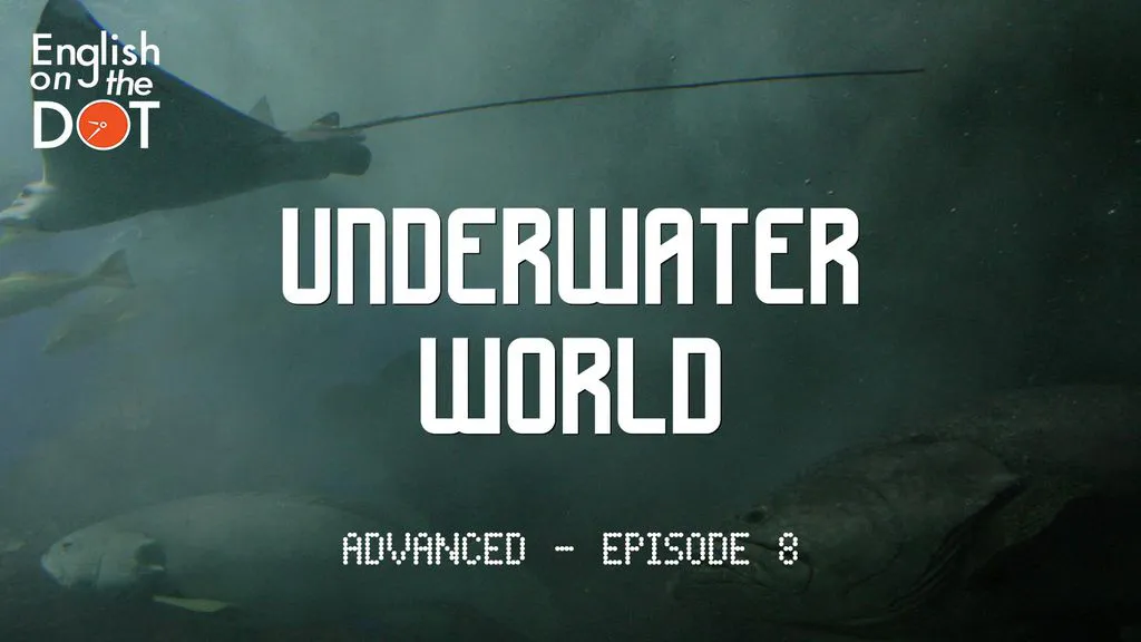 English on the Dot - Advanced - Episode 8 - Underwater world